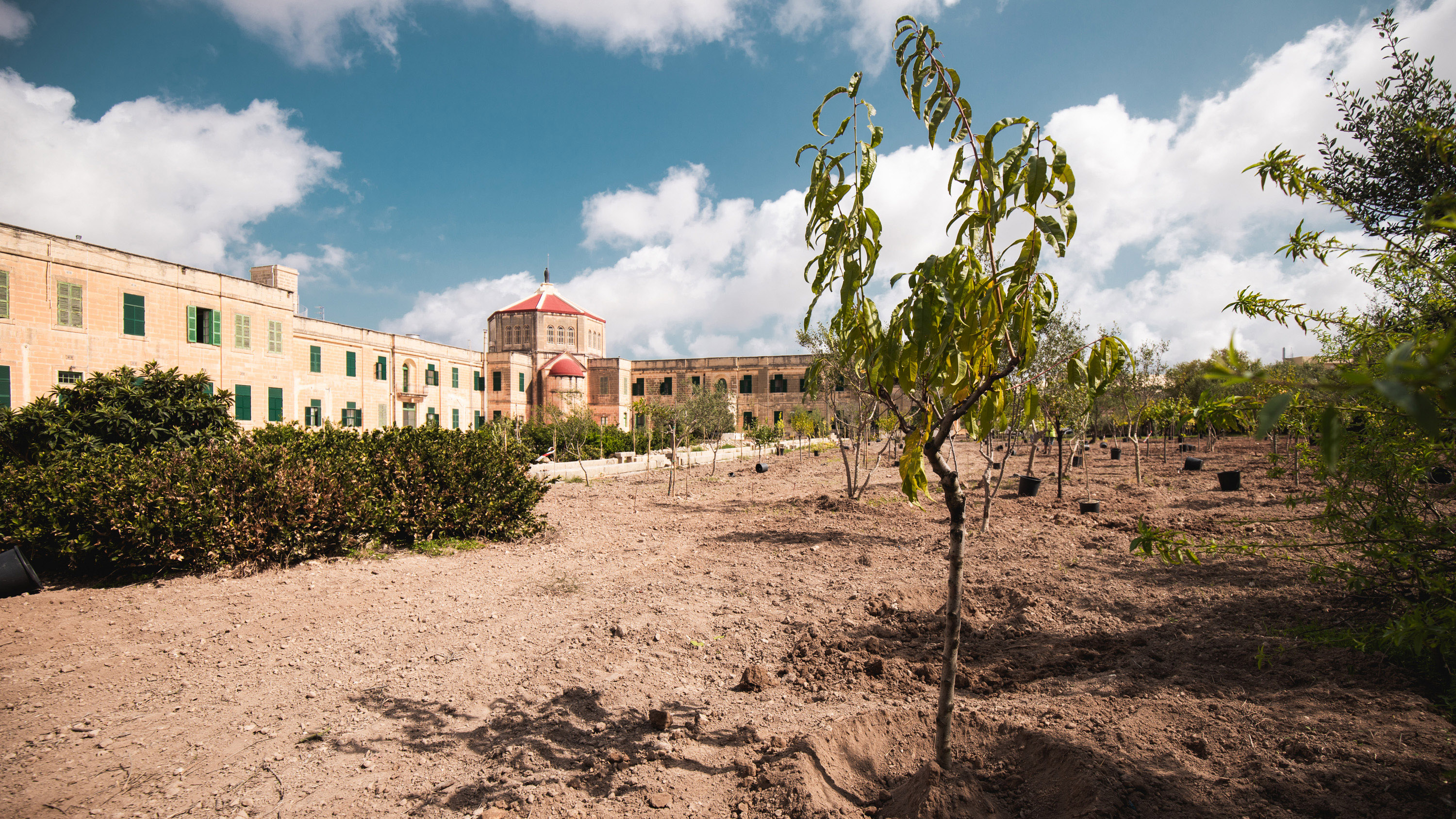 1,400 new trees in the gardens of Dar tal-Kleru 1,400 new trees in the gardens of Dar tal-Kleru