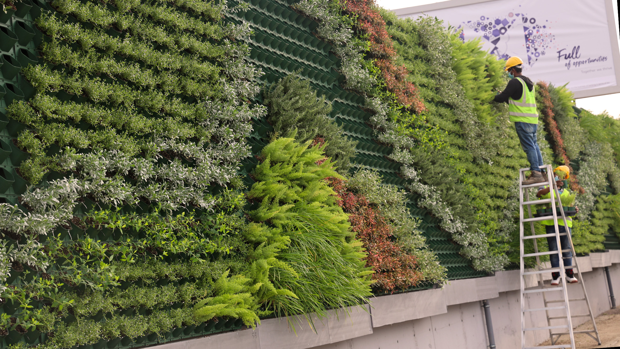 27,600 plants for longest green wall in Malta