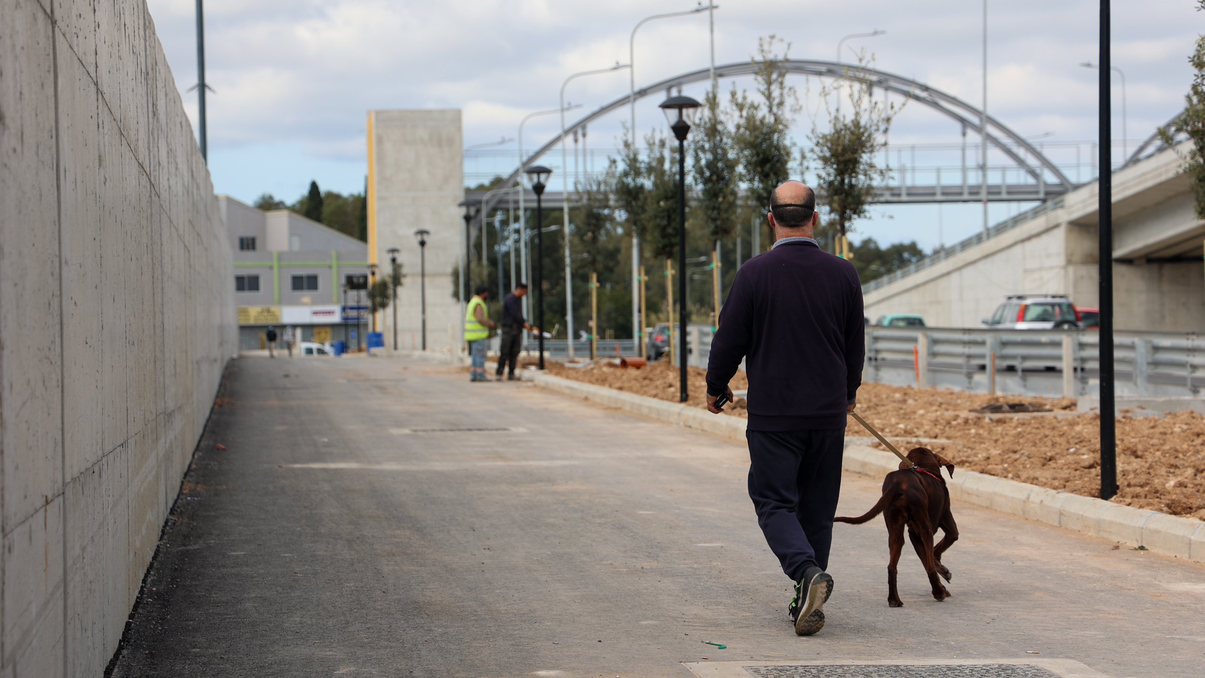 18265 trees and shrubs for Marsa Junction Project