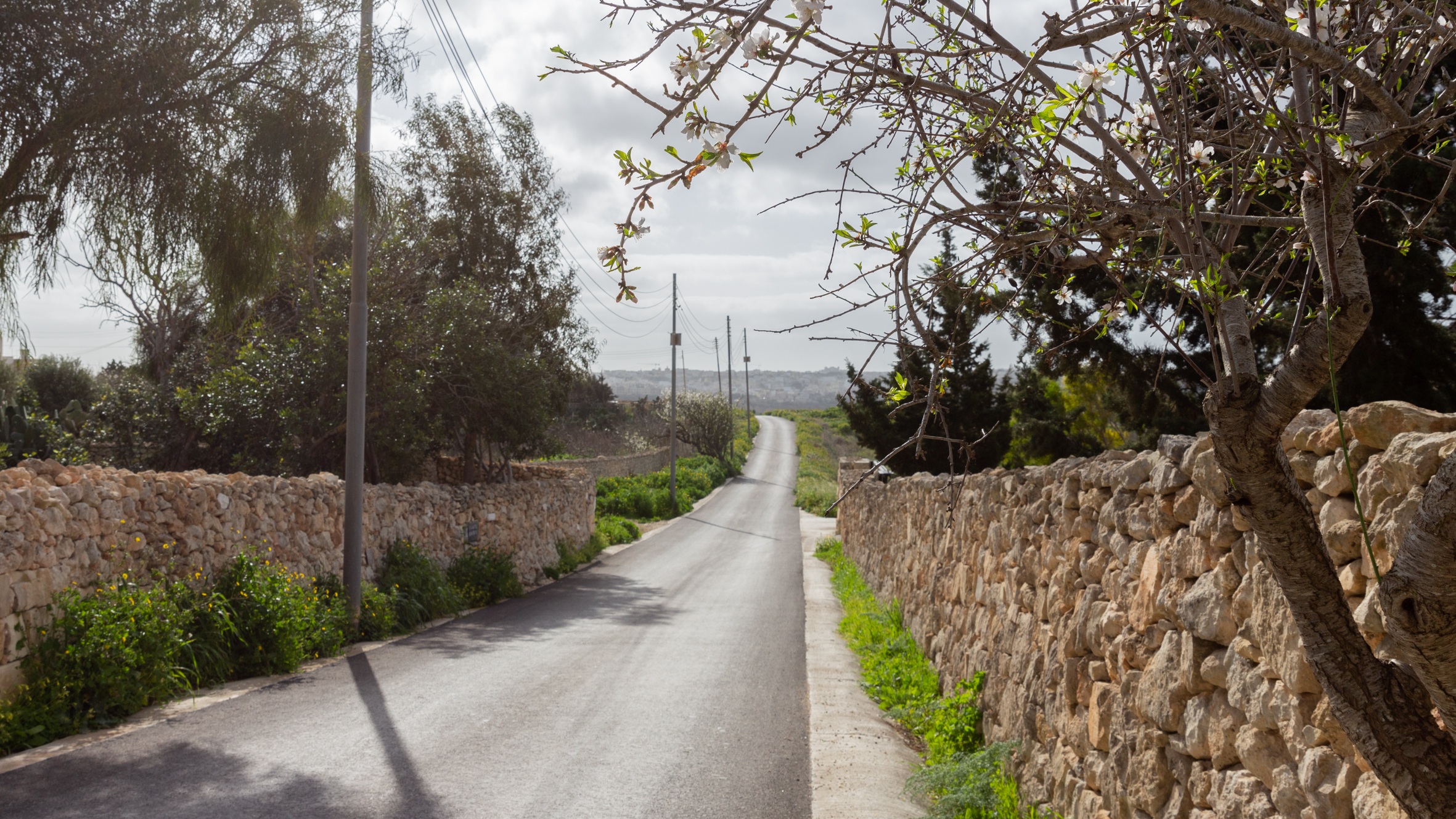 Infrastructure Malta upgrades 100 rural roads in 2021